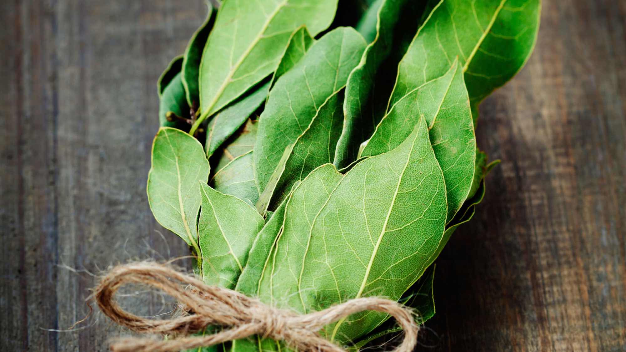 Лавровий лист